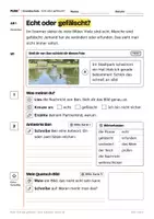 Vorschau - Stundenentwürfe - Echt oder gefälscht? Bilder im Internet prüfen – Arbeitsblätter Kl. 3–4 - Seite 2