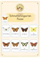 Vorschau - Poster - Schmetterlingsarten Poster - Deckblatt