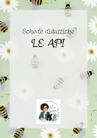 anteprima - Esercizi - SCHEDE DIDATTICHE SULLE API - Pagina di copertina