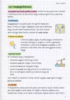 anteprima - Materiale di supporto/inclusione - Riassunti di Storia classe 4ª: con disegni e domande - Pagina 3
