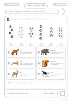 Vorschau - Arbeitsblätter - Escape Room Tiere im Winter | Winterschlaf Winterruhe | differenziert - Seite 1