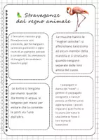 anteprima - Flashcard - Lo sapevi che... 50 curiosità scientifiche - Pagina 2