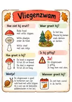 Voorbeeld - Infofiches paddenstoelen - Pagina 1