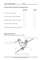Vorschau - Arbeitsblätter - Das Huhn Arbeitsblätter Leseförderung Klasse 1 2 - Seite 3