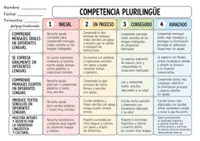 Vista previa - Evaluación - RÚBRICAS COMPETENCIALES @elpupitredorado (castellano y valenciano) - página 3