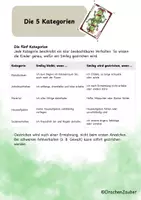 Vorschau - Poster - Smiley-Joker-System - Verhaltensplan - Seite 2