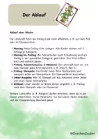 Vorschau - Poster - Smiley-Joker-System - Verhaltensplan - Seite 3