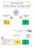 Vorschau - Fördermaterial/Inklusion - s-Laute - s ss ß - Klasse 3-5 - Regelkarten + Wortkarten - Seite 2