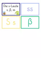 Vorschau - Fördermaterial/Inklusion - s-Laute - s ss ß - Klasse 3-5 - Regelkarten + Wortkarten - Seite 3