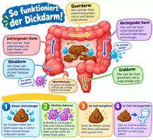 Vorschau - Unterrichtsreihen - Infografiken Poster Schaubilder Oragne - Seite 2