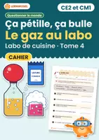 Aperçu - Feuilles d'exercices - Ça pétille, ça bulle – CE2 et CM1 - Page de couverture