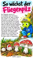 Vorschau - Präsentationen/Tafelbilder - Wie bekommt der Fliegenpilz seine Punkte? - Seite 2