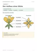 Vorschau - Arbeitsblätter - Aufbau der Blüte - eine einfache Arbeitsmapppe - Seite 1
