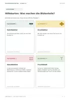 Vorschau - Arbeitsblätter - Aufbau der Blüte - eine einfache Arbeitsmapppe - Seite 2