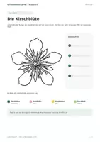 Vorschau - Arbeitsblätter - Aufbau der Blüte - eine einfache Arbeitsmapppe - Seite 3