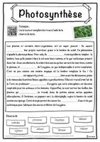 Aperçu - Inclusion - Photosynthèse – Fiche : texte à trous, compréhension orale et mots mêlés - Page 1