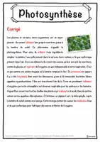 Aperçu - Inclusion - Photosynthèse – Fiche : texte à trous, compréhension orale et mots mêlés - Page 2