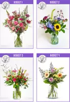 Voorbeeld - GRATIS - Bloemen vaas tekenen met tekentechnieken + VIDEO - Pagina 2