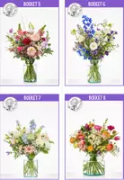 Voorbeeld - GRATIS - Bloemen vaas tekenen met tekentechnieken + VIDEO - Pagina 3