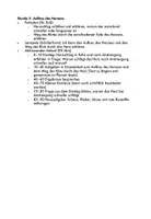 Vorschau - Stundenentwürfe - Aufbau des Herzens (komplette Stundenplanung) - Deckblatt