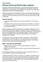 Vorschau - Stundenentwürfe - Venusfliegenfalle: Reiz und Reaktion – Mission Schnappfalle | Biologie-Mission Klasse 5-6 - Seite 1
