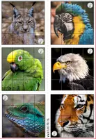 Voorbeeld - GRATIS - jungle dieren met wasco + VIDEO - Pagina 2