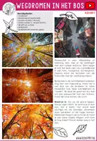 Voorbeeld - Wegdromen in het bos - VIDEO, bomen, herfst - Pagina 1