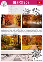 Voorbeeld - Herfstbos met een bospad - VIDEO, mixed media - Pagina 1