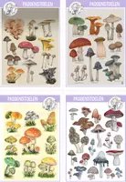 Voorbeeld - Paddenstoelen tekenen - VIDEO, 3d tekenen - Pagina 3