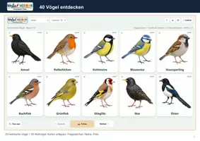 Vorschau - Arbeitsblätter - 🐦 Vögel entdecken – Smartboard-Tool mit 40 Arten, Vogelstimmen & Quiz 🖥️ - Seite 2