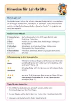 Vorschau - Arbeitsblätter - Bericht schreiben Klasse 3/4 | Schreibtraining mit W-Fragen, Schreibplan, Differenzierung & Lösungen - Seite 2