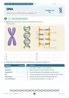 Vorschau - Stundenentwürfe - DNA: Aufbau, Doppelhelix & Basenpaarung | Unterrichtsreihe "Genetik", Biologie, 9.-10. Klasse - Seite 1