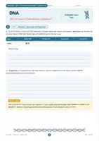 Vorschau - Stundenentwürfe - DNA: Aufbau, Doppelhelix & Basenpaarung | Unterrichtsreihe "Genetik", Biologie, 9.-10. Klasse - Seite 3