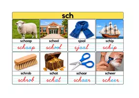Voorbeeld - woordkaarten sch, ch, ng, nk, aai, ooi, oei - Pagina 2