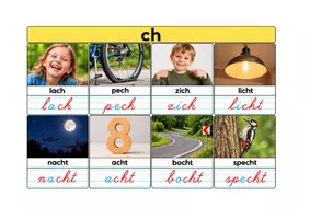 Voorbeeld - woordkaarten sch, ch, ng, nk, aai, ooi, oei - Pagina 3