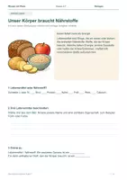 Vorschau - Arbeitsblätter - Materialpaket: Mein Körper & Gesundheit entdecken – Medium Bundle – Klasse 5–7 - Seite 1