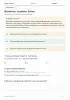Vorschau - Arbeitsblätter - Unsichtbare Mitbewohner – Mikroben & Immunsystem | Arbeitsheft | Klasse 5–7 - Seite 2