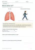 Vorschau - Arbeitsblätter - Ein Atemzug voller Leben – Lunge & Atmung | Arbeitsheft | Klasse 5–7 - Seite 1