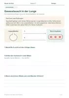 Vorschau - Arbeitsblätter - Ein Atemzug voller Leben – Lunge & Atmung | Arbeitsheft | Klasse 5–7 - Seite 3