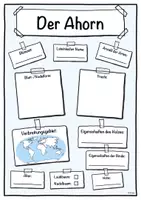 Vorschau - Stundenentwürfe - Materialpaket Wald Steckbriefe Laubbaum/Nadelbaum - Seite 1