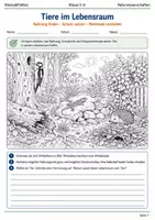 Vorschau - Arbeitsblätter - Tiere im Lebensraum Lernmalbuch Klasse 5–6 - Deckblatt