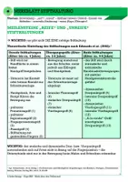 Vorschau - Mal- und Bastelvorlagen - Merkblatt Stifthaltung für LehrerInnen/ ErzieherInnen - Seite 1