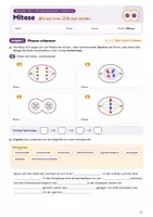 Vorschau - Stundenentwürfe - Mitose: Zellzyklus, Phasen & Mitoseindex | Unterrichtsreihe Genetik - Seite 3