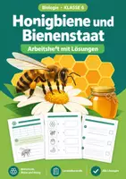 Vorschau - Arbeitsblätter - Arbeitsblätter Biologie, Paket mit 7 Materialien, Klasse 6 - Seite 1