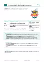 Vorschau - Arbeitsblätter - Honigbiene und Bienenstaat, Arbeitsheft, Klasse 6 - Seite 3