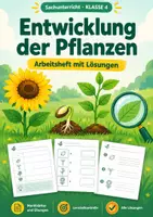 Vorschau - Arbeitsblätter - Arbeitsblätter, Paket mit 3 Materialien, Klasse 4 - Seite 1