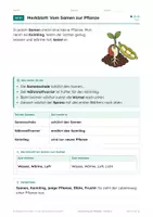 Vorschau - Arbeitsblätter - Die Entwicklung der Pflanzen, Arbeitsheft, Klasse 4 - Seite 3