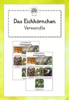 Vorschau - Bildkarten - Das Eichhörnchen: Verwandte (Bild-Wort-Karten)- kostenlos - Deckblatt