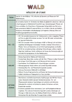 Vorschau - Unterrichtsreihen - Materialpaket: Stockwerke des Waldes – Unterrichtsreihe, UB-Stunde und Material - Seite 3
