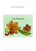 Vorschau - Stundenentwürfe - Kastanie Unterrichtseinheit - Seite 3